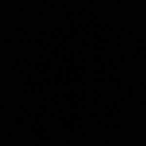 Meet your Posher, Serena